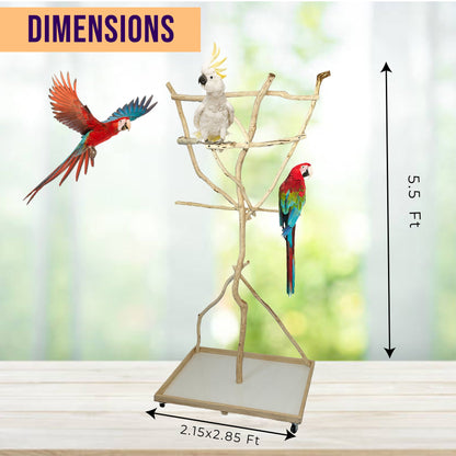 Parrot Tree Stand - (2ft x 3ft Base and 5.5-6ft Height)