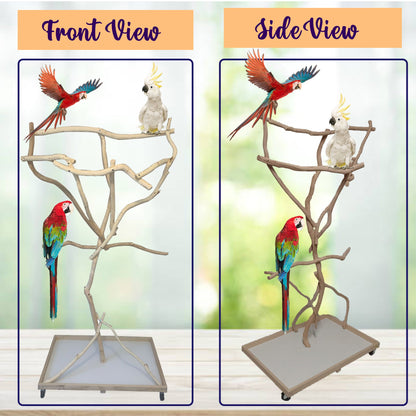 Parrot Tree Stand - (2ft x 3ft Base and 5.5-6ft Height)