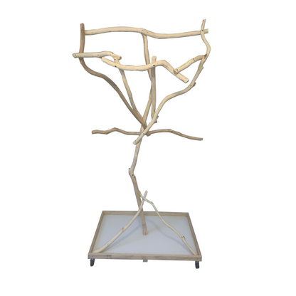 Parrot Tree Stand - (2ft x 3ft Base and 5.5-6ft Height)