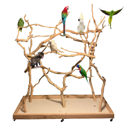 XL Bird Stand - 2 x 6 Ft Base 6-7Ft Tall