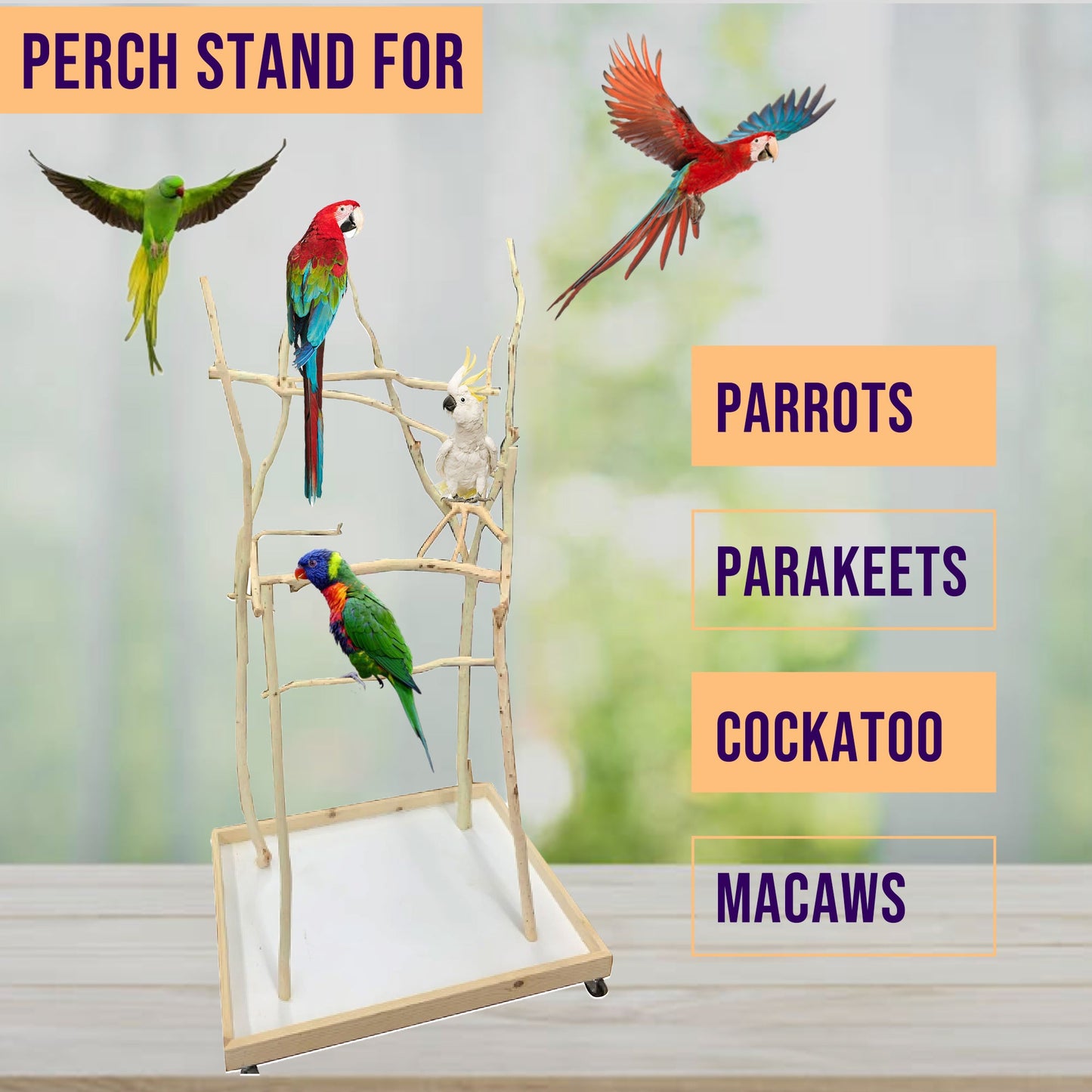 XS Bird Stand - 24 × 36 Ft Base 4Ft Height