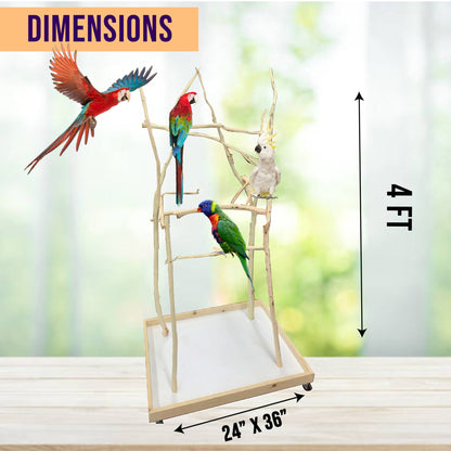 XS Bird Stand - 24 × 36 Ft Base 4Ft Height