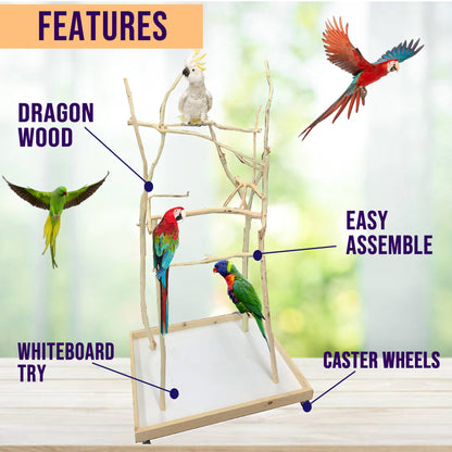 XS Bird Stand - 24 × 36 Ft Base 4Ft Height